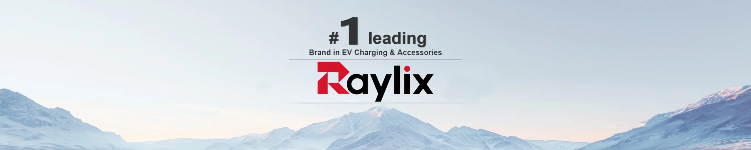 Raylix About